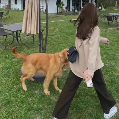 独身向前